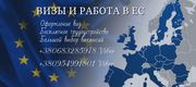 Офіційна робота в Польщі для кожного та легальні документи для віз